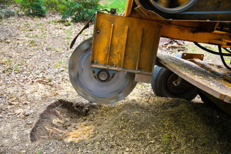 Stump Removal Service